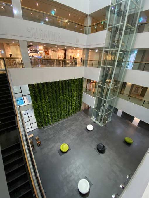 Auslandsstudium Südkorea