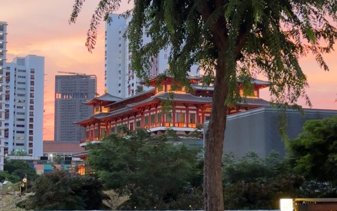 Ready for Singapore: Mein Weg ins Auslandsabenteuer