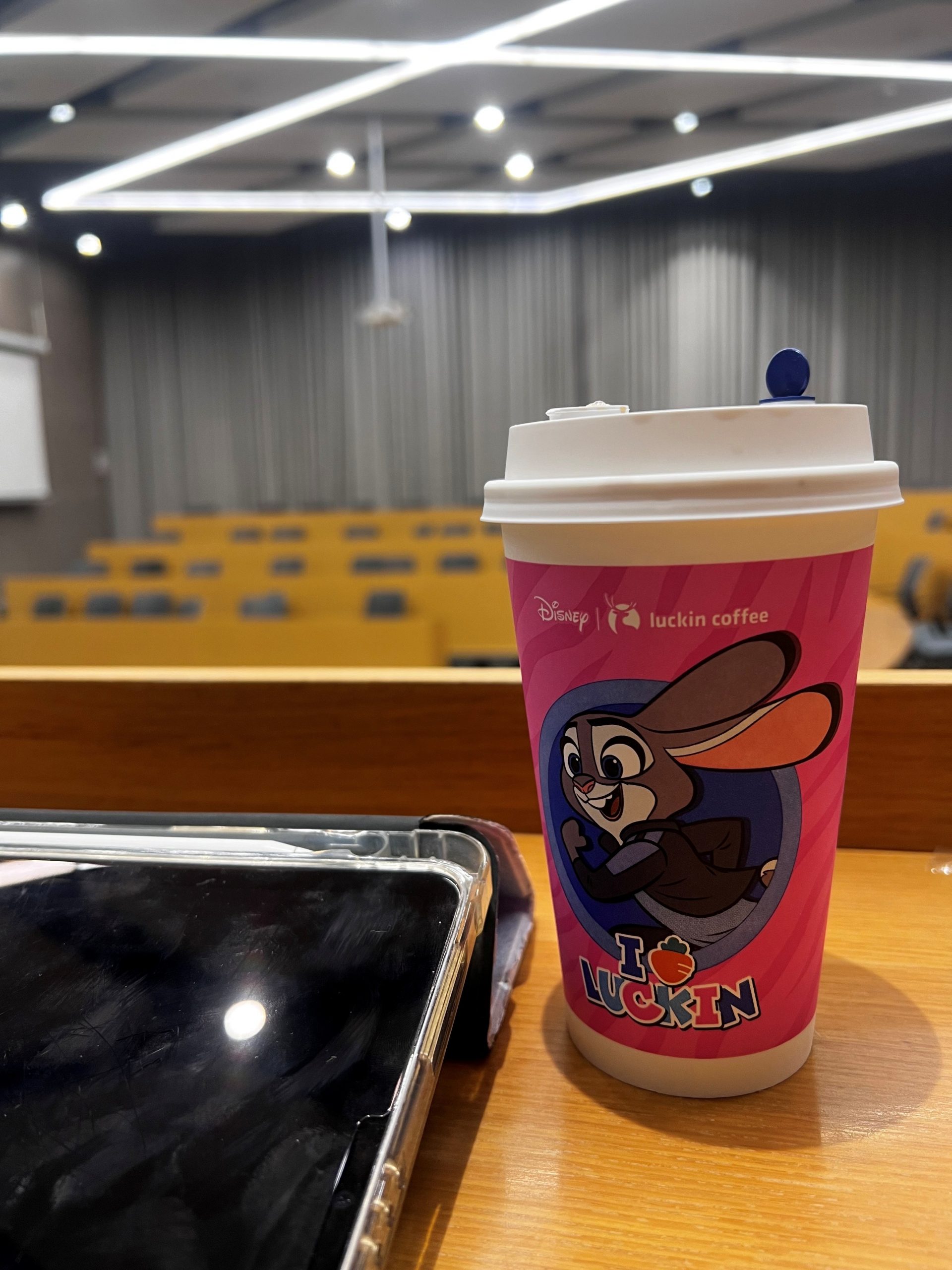 Studieren in Santa Barbara - Beachvibe