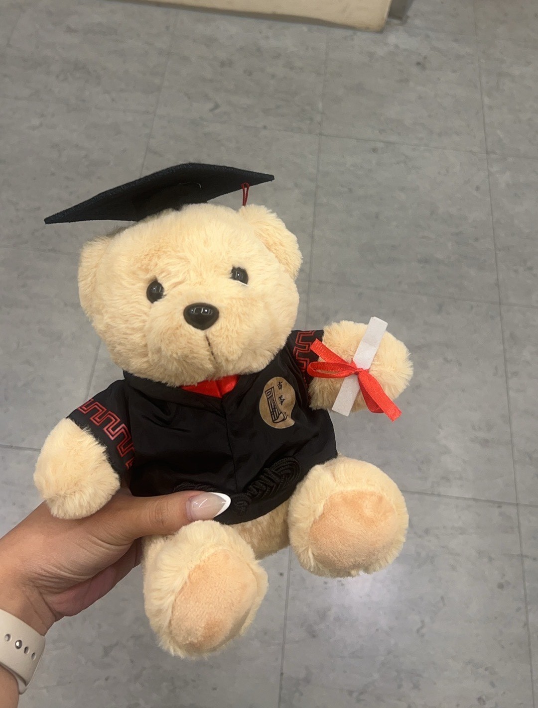 Erfahrungsbericht Auslandssemester an der UCSB