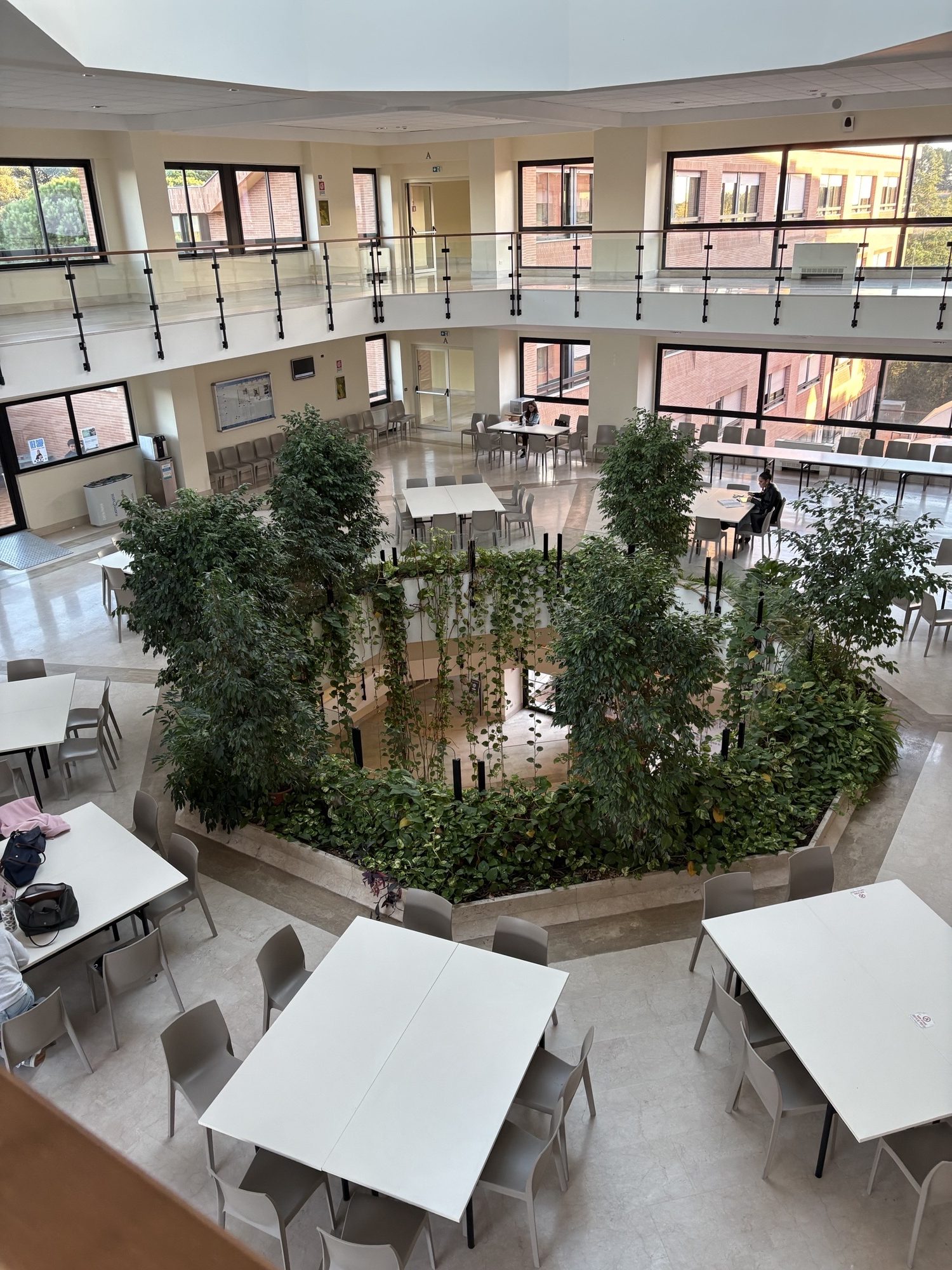 Library Vorbereitung Auslandssemester in Malaysia - Kuala Lumpur