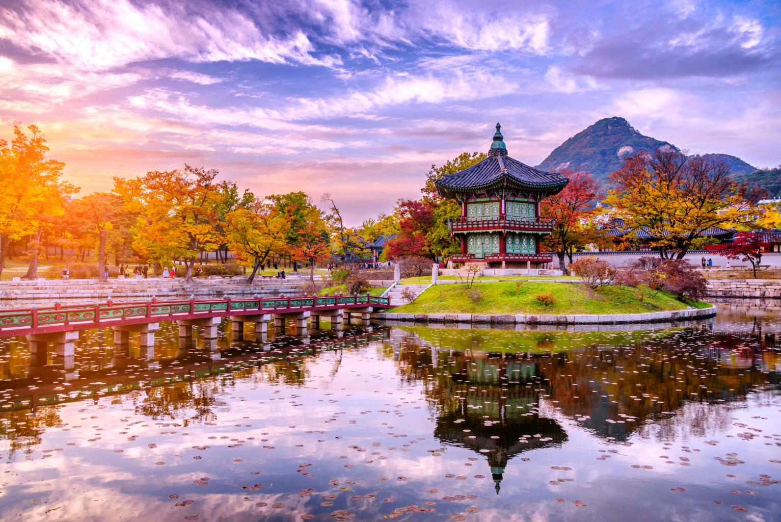 Recuni Header Image 1643943453_Seoul_small.jpg