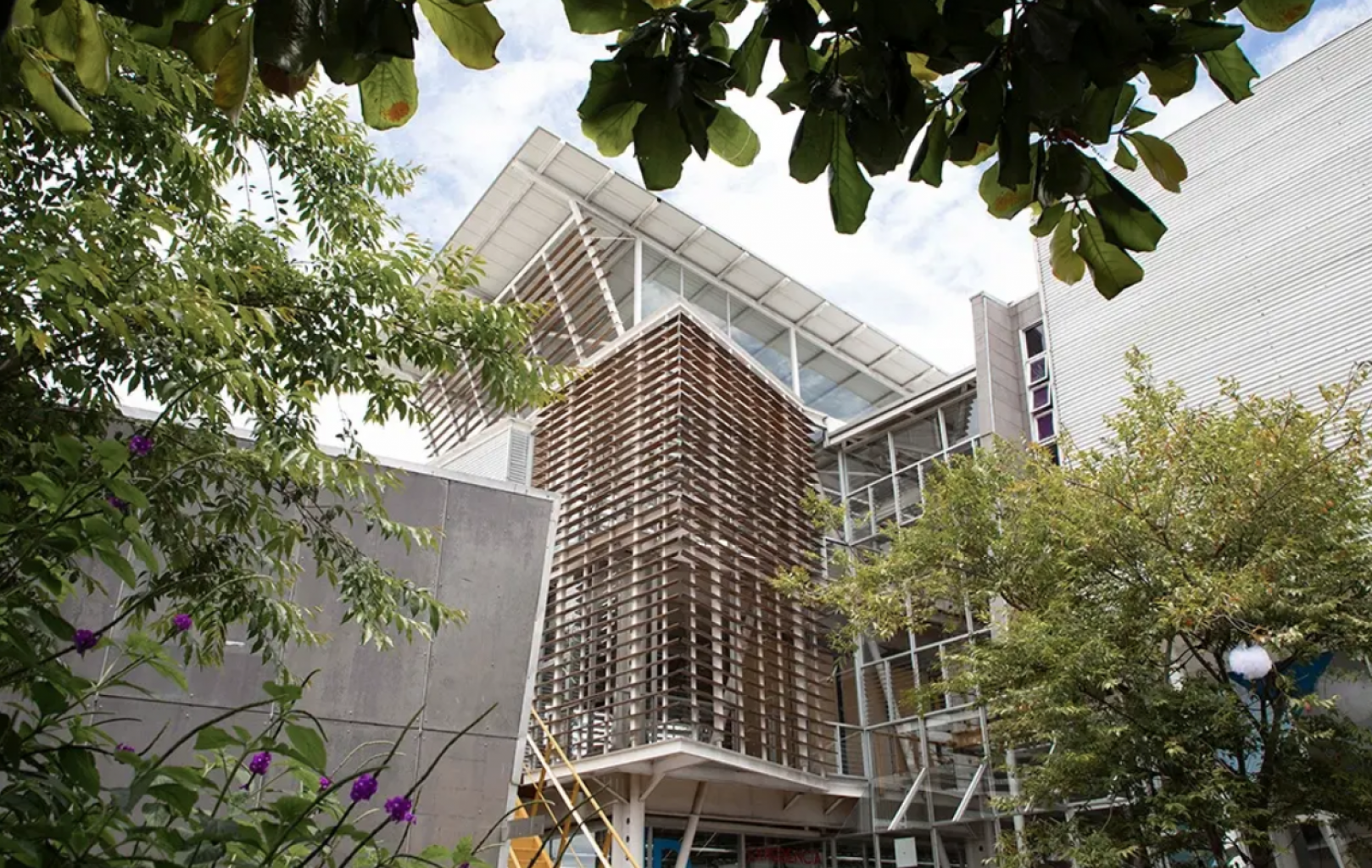 Recuni Header Image Screenshot_2025-02-13_114603